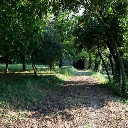 Bed and Breakfast La Foresteria Del Convento SantʼArcangelo di Romagna Exterior foto