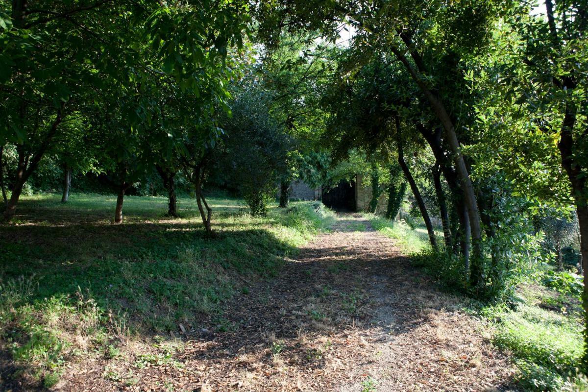 Bed and Breakfast La Foresteria Del Convento SantʼArcangelo di Romagna Exterior foto